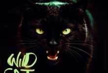 Kwame Yogot – Wildcat (WYFL Riddim)