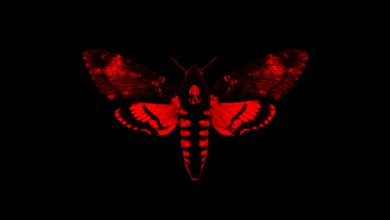 Lil Wayne - Love Me ft. Drake & Future