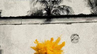 Sean Lifer – Winning Season