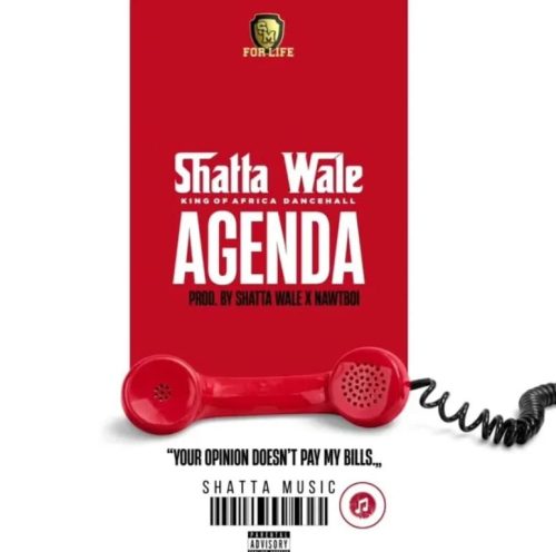 Shatta Wale – Agenda