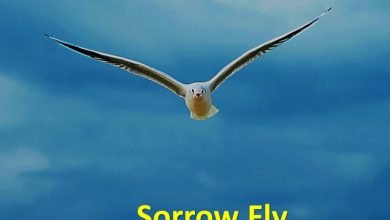 Safo Newman - Sorrow Fly