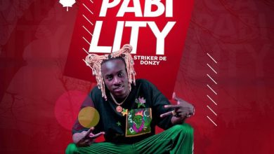 Striker De Donzy - Capability