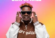 DJ Sedan – Best Of Shatta Wale Mix (Afrobeat Hitz)