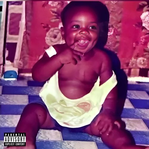 DarkoVibes - I Am Bigger Album Artwork