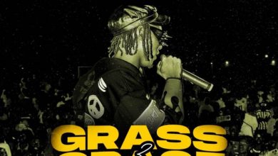 Striker De Donzy - Grass 2 Grace