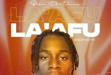 Striker De Donzy - Lag Fu