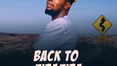 Sapashini - Back To ZibaZiba EP Artwork