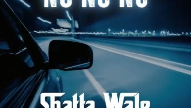 Shatta Wale – No No No
