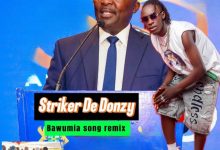 Striker De Donzy - Bawumia Song (Remix)