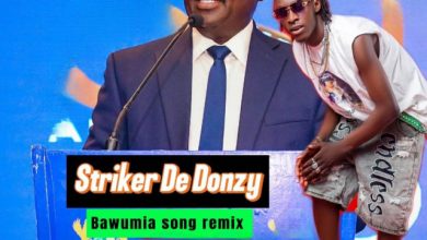 Striker De Donzy - Bawumia Song (Remix)