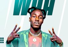 Striker De Donzy - Waa