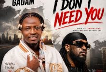 Fancy Gadam ft. Rude Boy – I DON’T NEED YOU