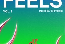 DJ Freddi – Feels Mix (Vol.1)