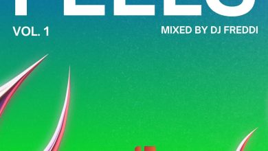 DJ Freddi – Feels Mix (Vol.1)