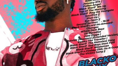DJ Zlatan - Black Sherif Nonstop Mix 2026