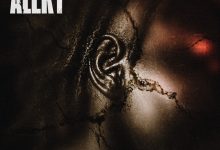 Dikoo – Alert