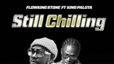 Flowking Stone – Still Chilling ft. King Paluta